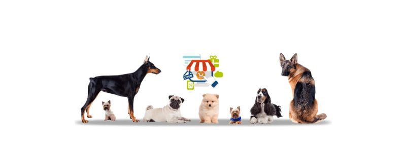 online pet shop Archives Finsoft IT Solutions